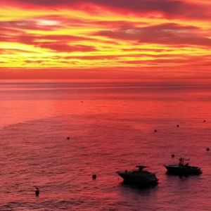 Meet your Posher, Darlyn