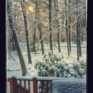 Meet your Posher, Charmaine