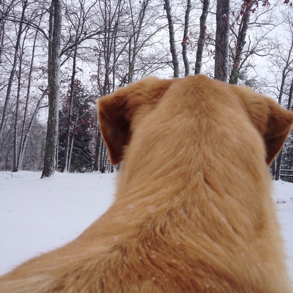 Meet your Posher, Adrienne - Picture 4 of 4