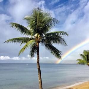 Meet your Posher, Libbie