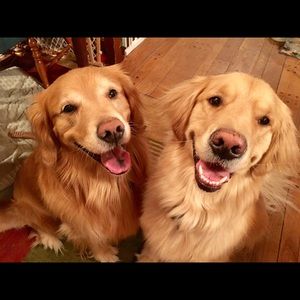 Meet your Posher, Diana