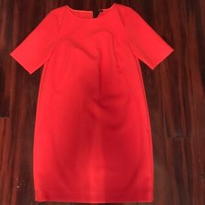Ann Taylor dress.NWT