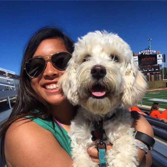 Meet your Posher, Jazmin - Picture 1 of 1