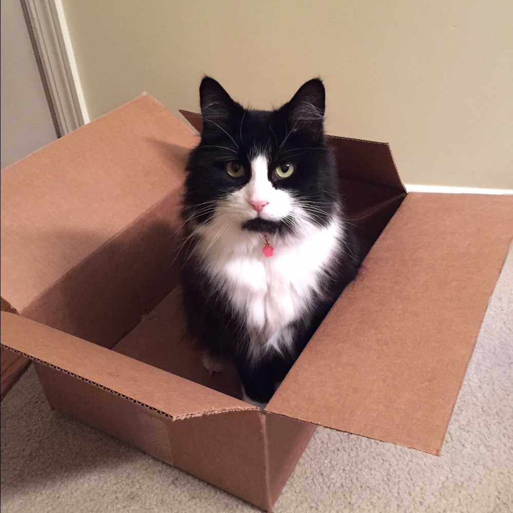 Meet your Posher, Michelle