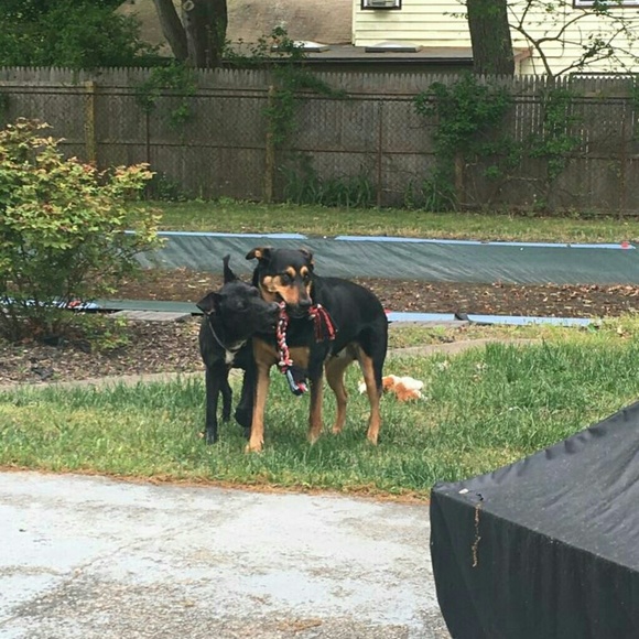 Meet your Posher, Barbara - Picture 1 of 1