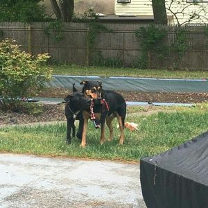 Meet your Posher, Barbara