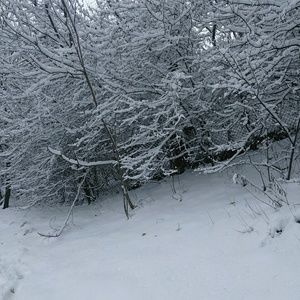 Meet your Posher, Cierra