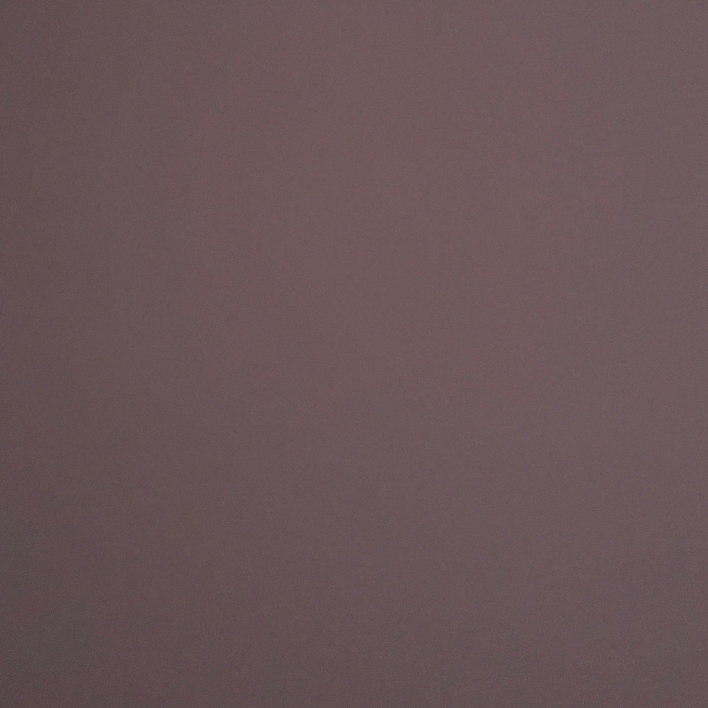 Meet your Posher, Maddie