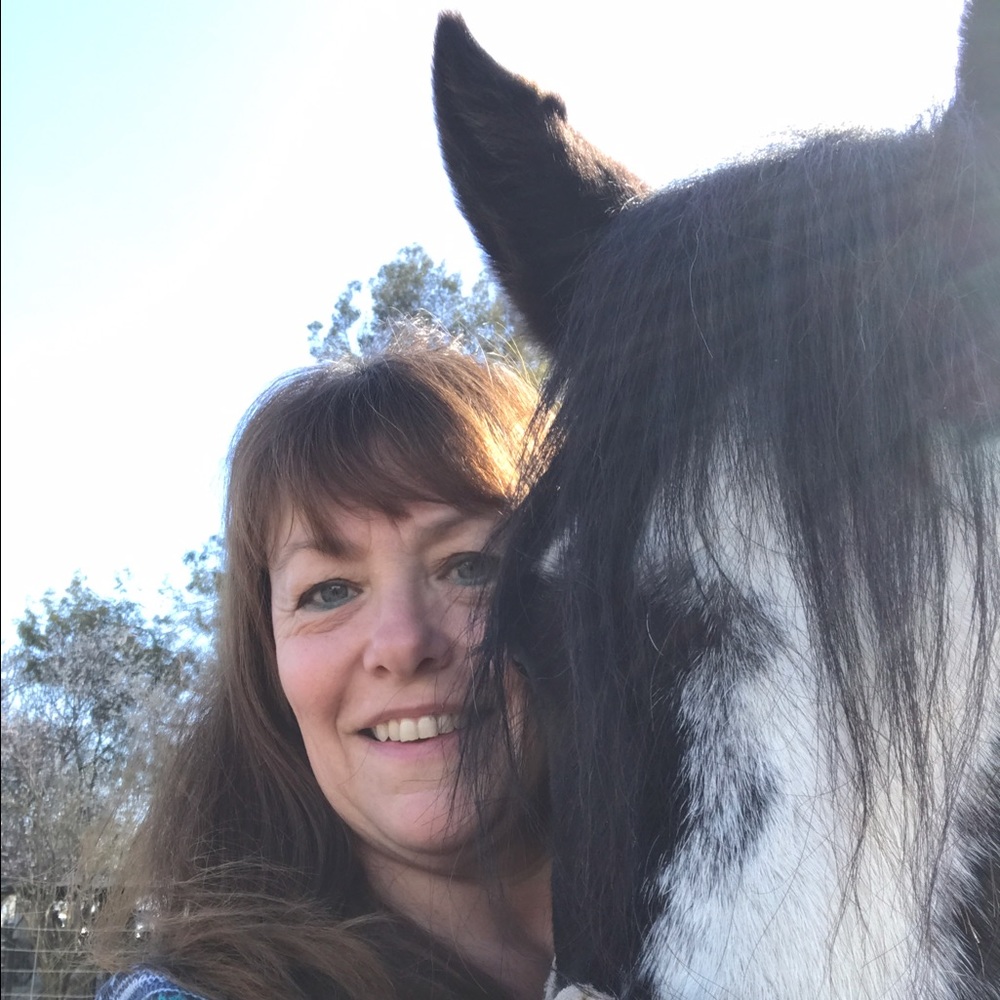 Meet your Posher, Traci