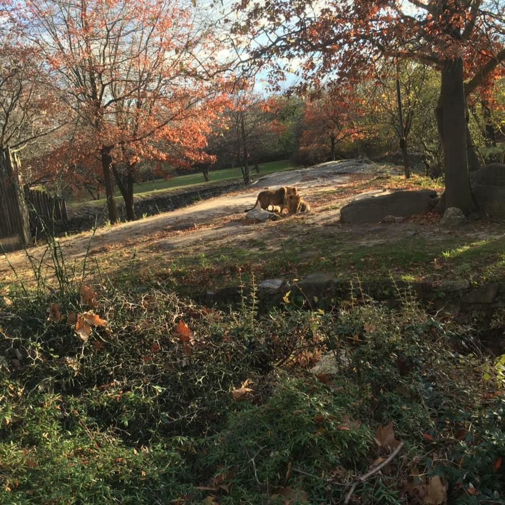 Meet your Posher, Delfina