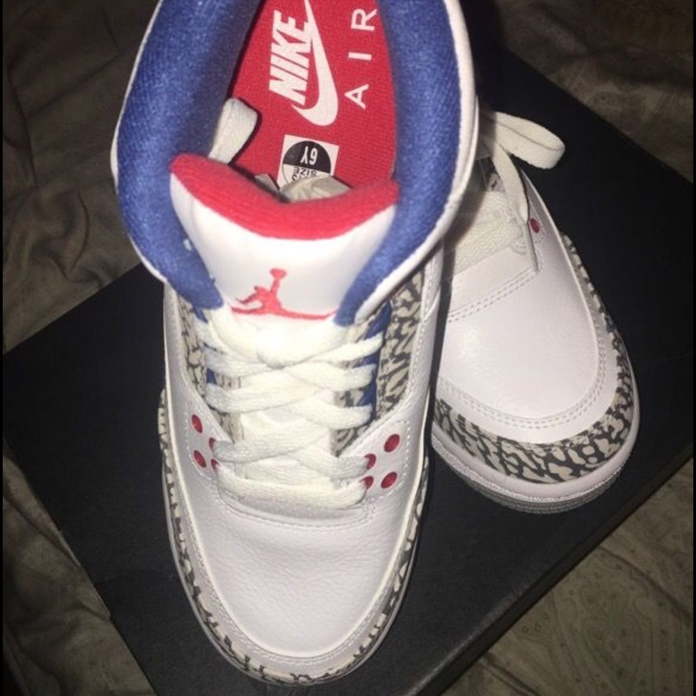 Jordan Retro 3 "True Blues"