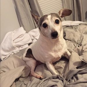 Meet your Posher, Alex