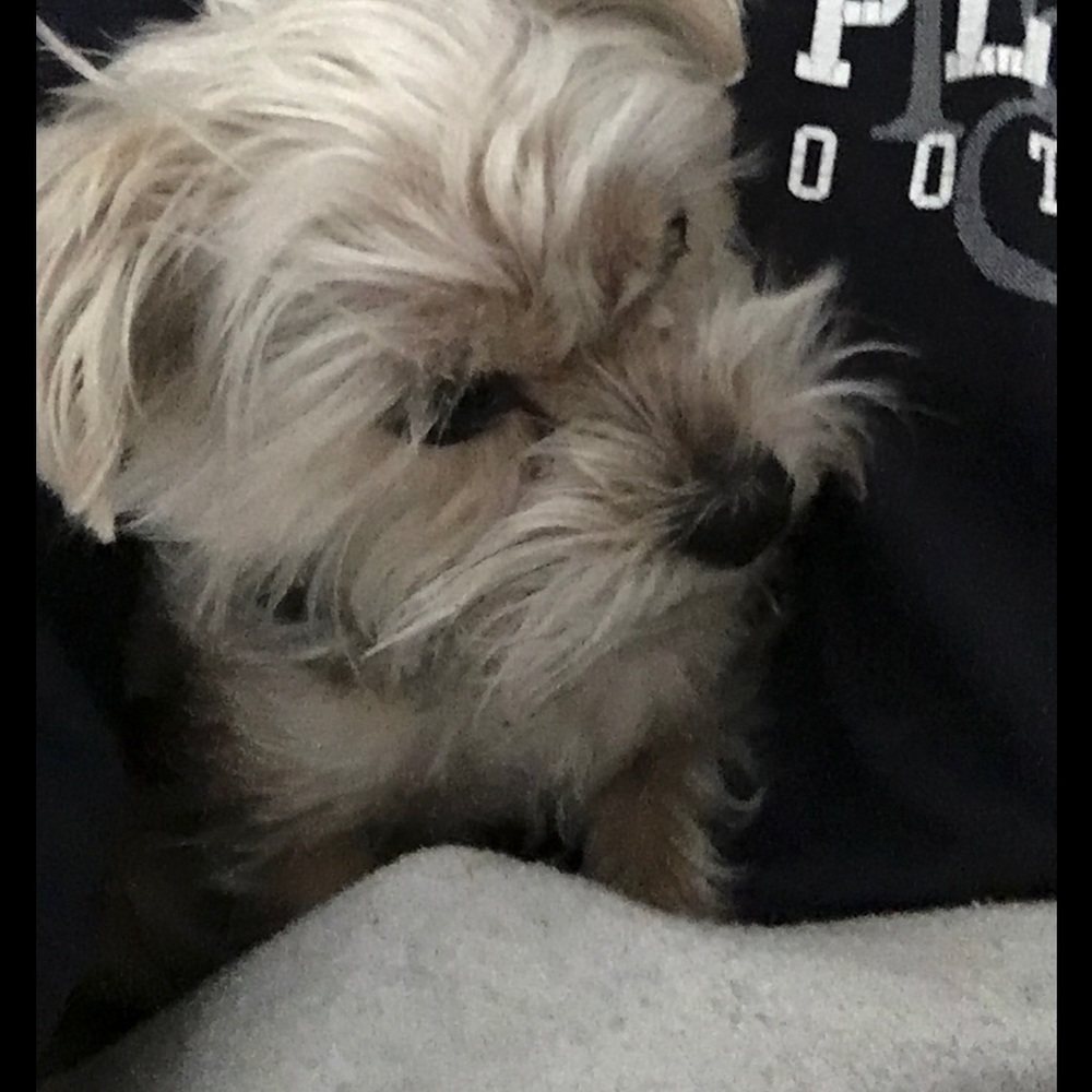 Meet your Posher, Margaret