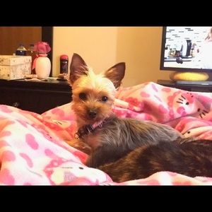 Meet your Posher, Nicole