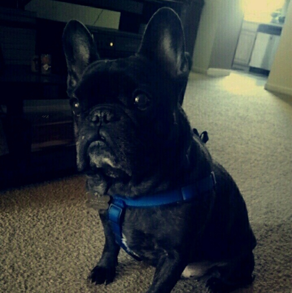 Meet your Posher, Michele