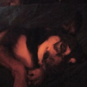 Meet your Posher, Georgia