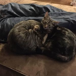 Meet your Posher, Katherine