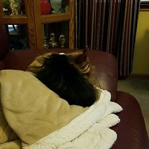 Meet your Posher, Nikki