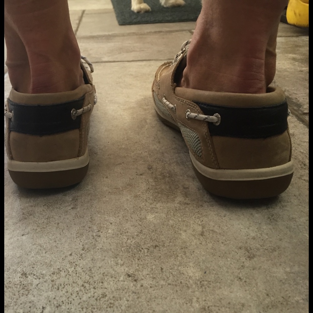 Sebago Authentic Dockside - Picture 5 of 7