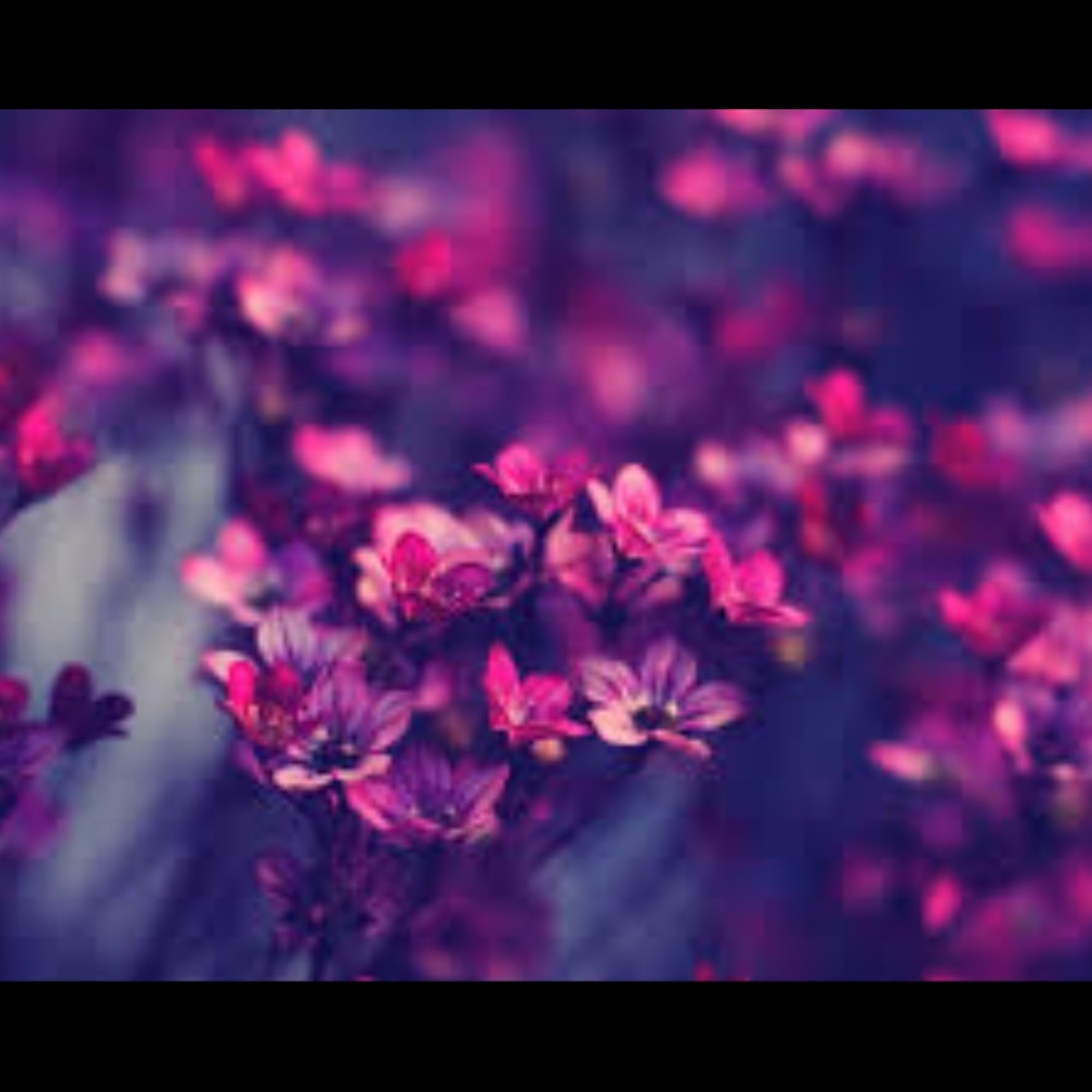 Meet your Posher, Brigitte