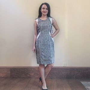 NWT Black and Beige Work Dress