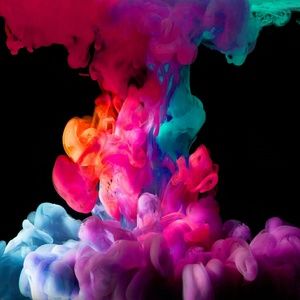 Meet your Posher, Whittney