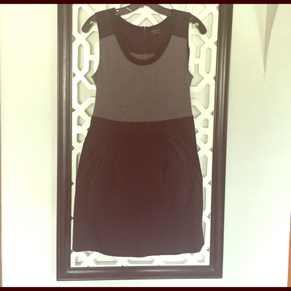 Theory Dress