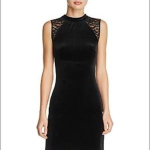 French connection vixon lace shoulder velvet dress