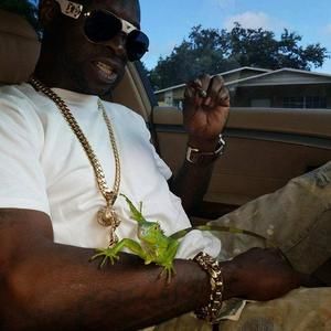 Meet your Posher, Dirt