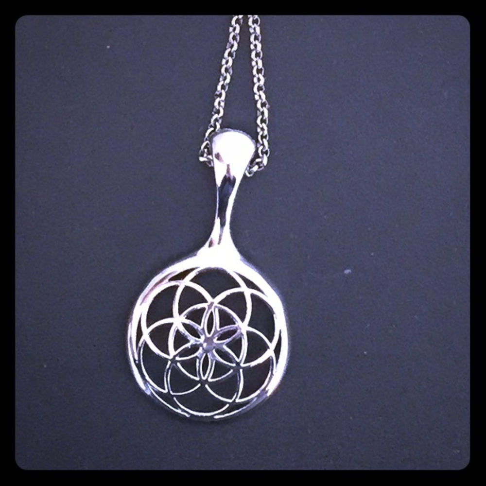 MOVING SALE!!! 🚚🚚 Silver misfit necklace