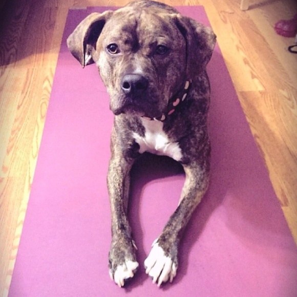 Meet your Posher, Mel - Picture 4 of 4