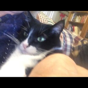 Meet your Posher, Linda