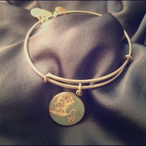 Alex & Ani bracelet