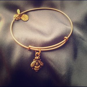 Alex & Ani bracelet