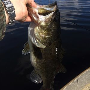 Meet your Posher, Chad