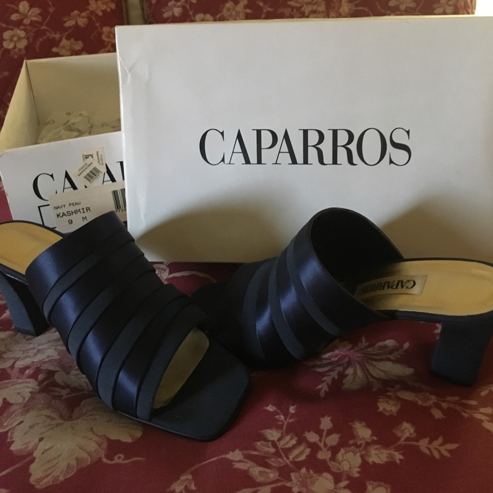 Caparros Navy Kashmir Mule