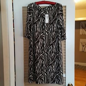 Chicos Zebra Print Sheath