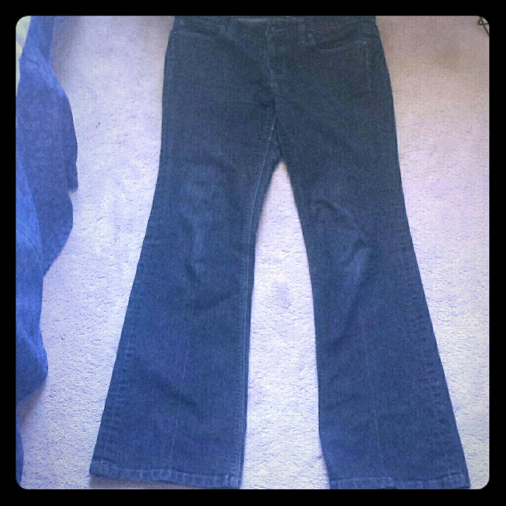 Ann Taylor loft jeans
