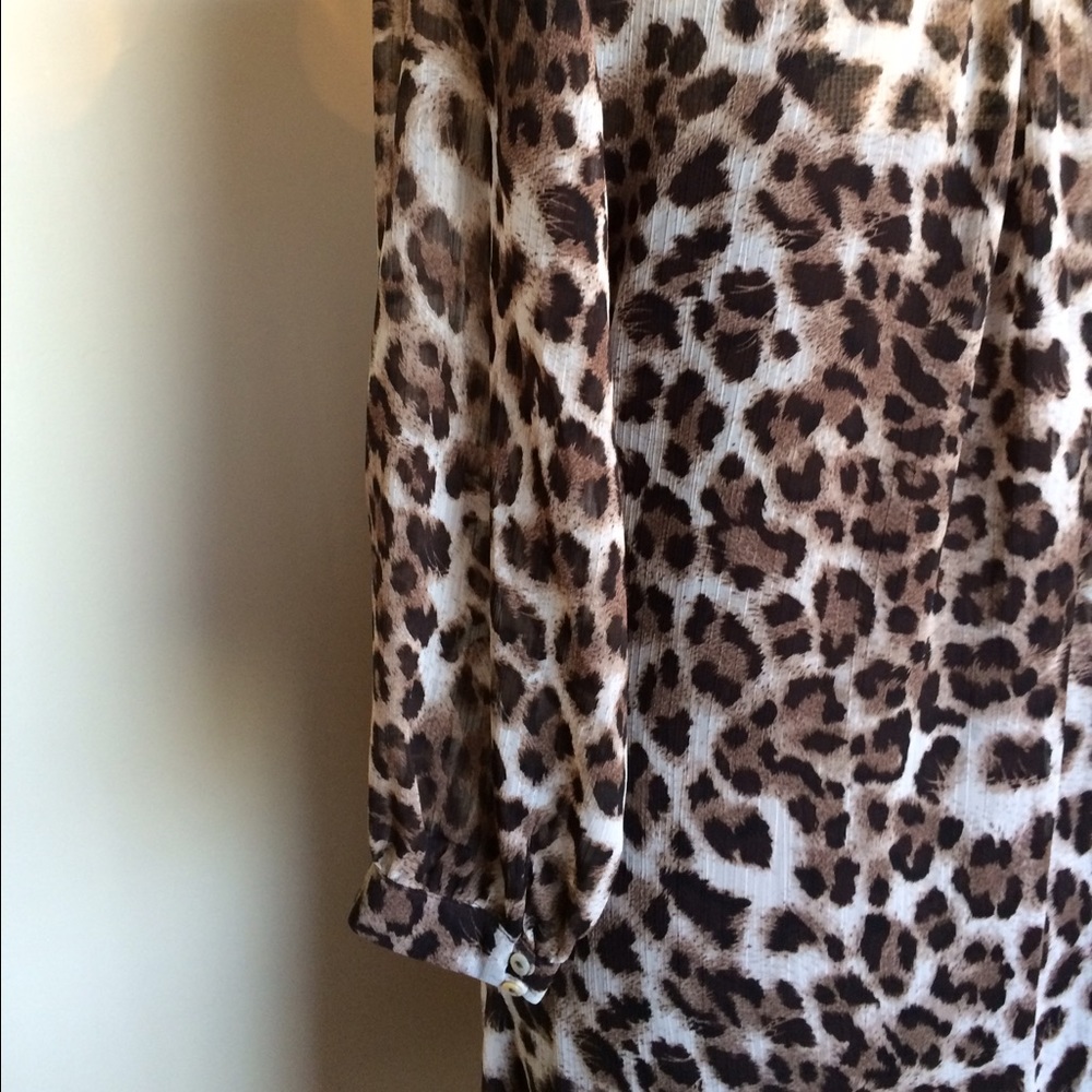 MSK cheetah print Sheer dress w/liner & rousche - Picture 3 of 4