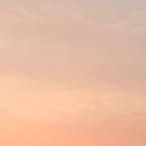 Meet your Posher, Bridget