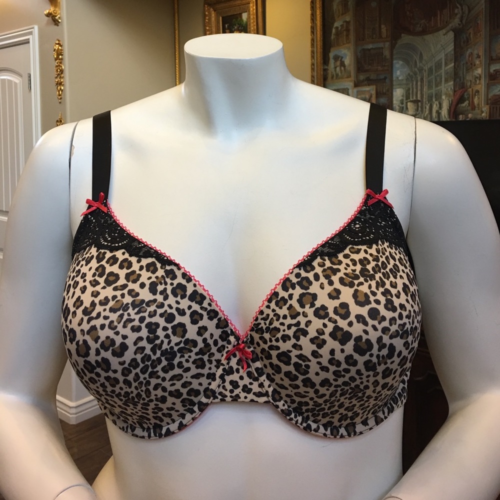 Jasmine and Ginger bra