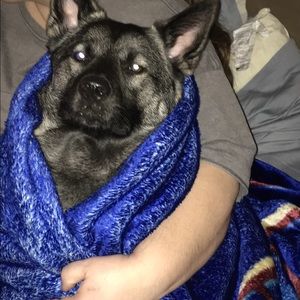 Meet your Posher, Brianna