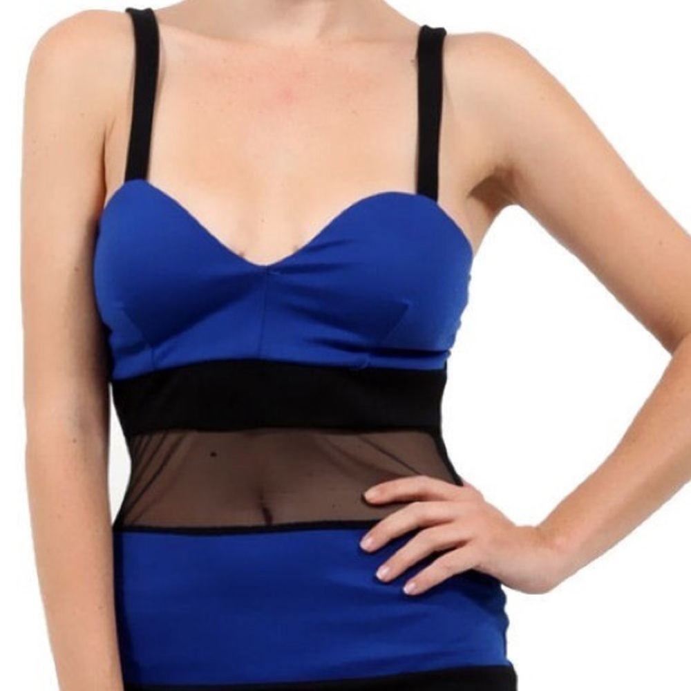 Mesh Color Block Mini Dress