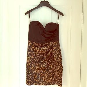 Black & Cheetah Dress