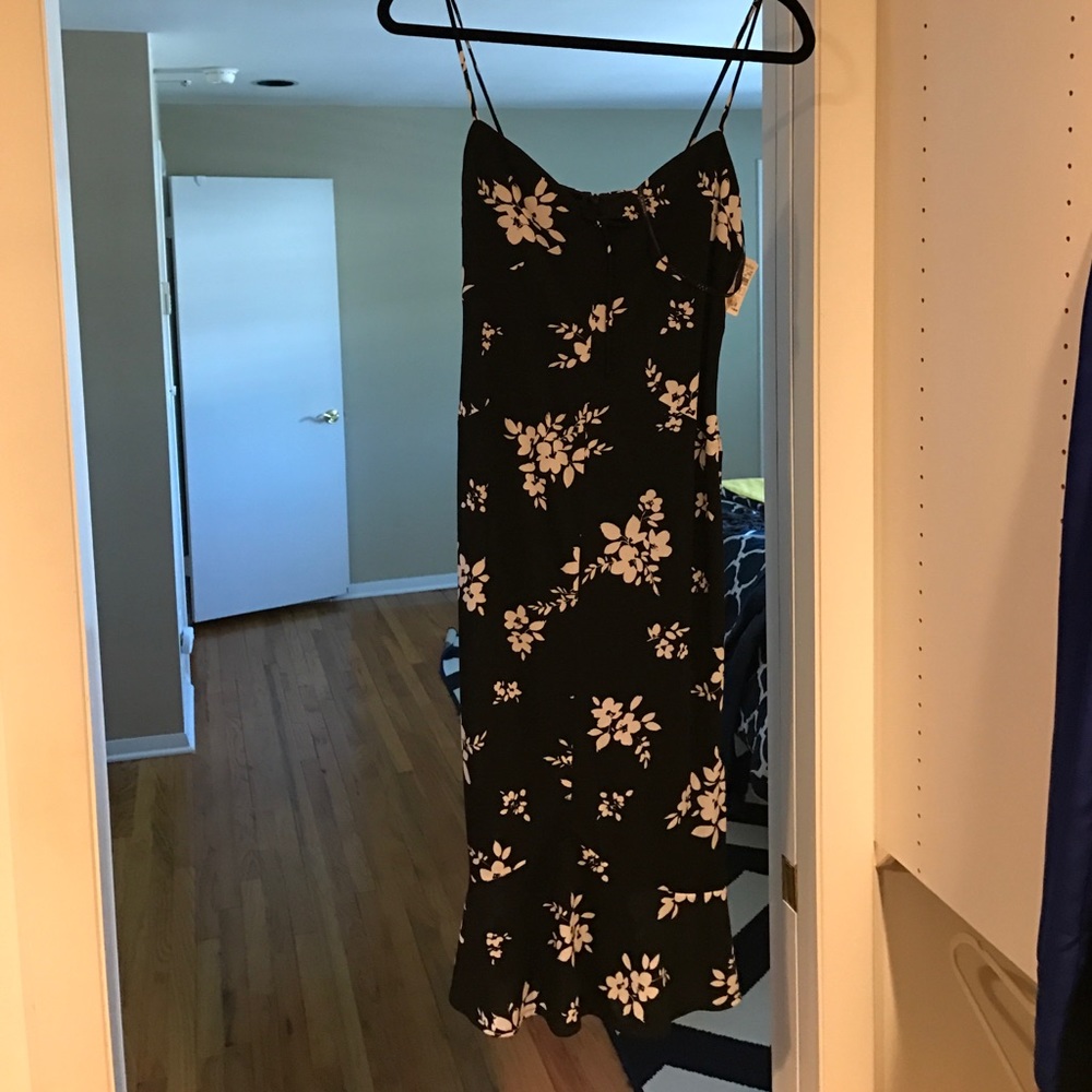 NWT David Meister Dress