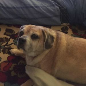 Meet your Posher, Kirstin