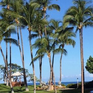 Meet your Posher, Ally