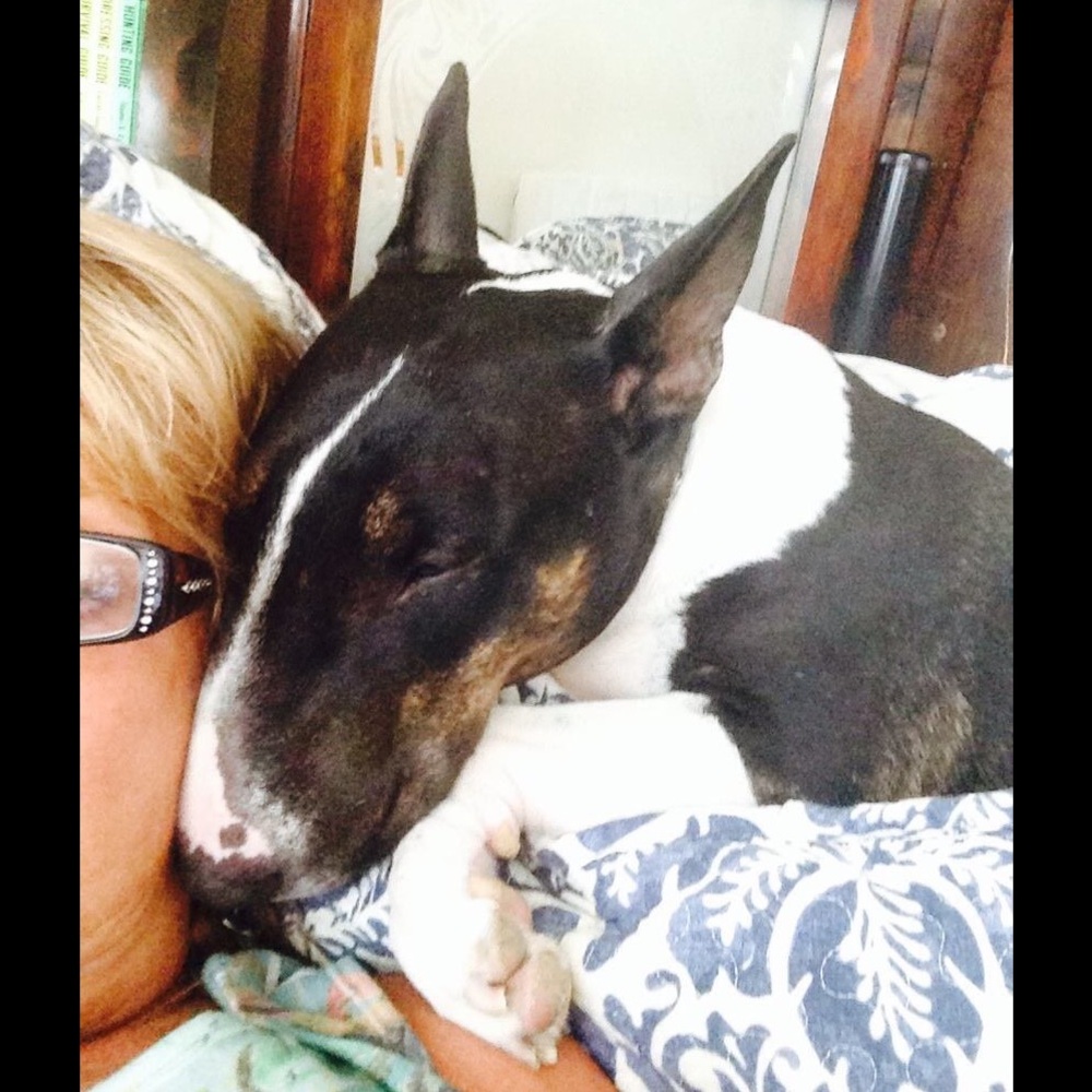 Not for sale:  my snuggle bunny, Jada
