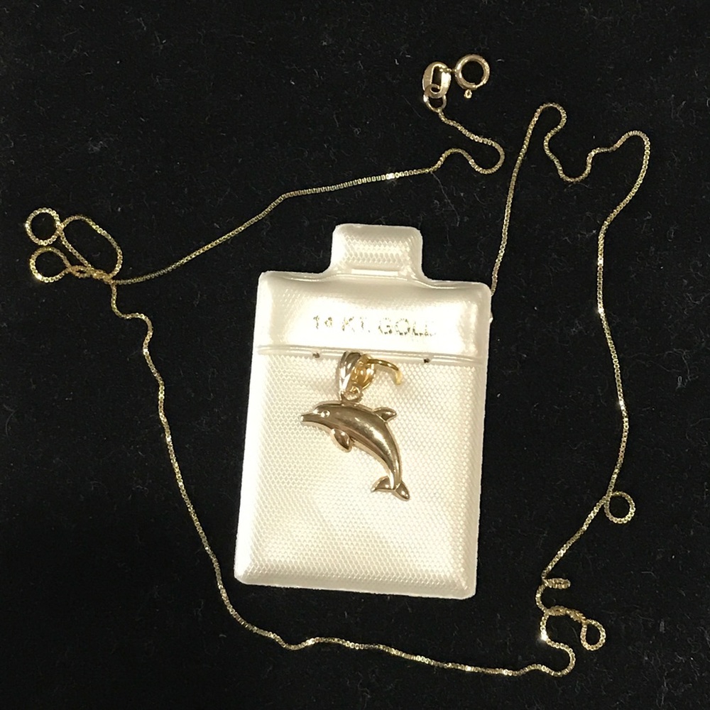 14 K Italian Gold Chain