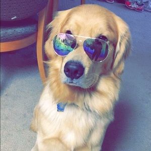 Meet your Posher, Caylee